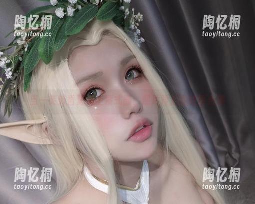 当一笑芳香沁遇上紫式部：照片背后的故事合集