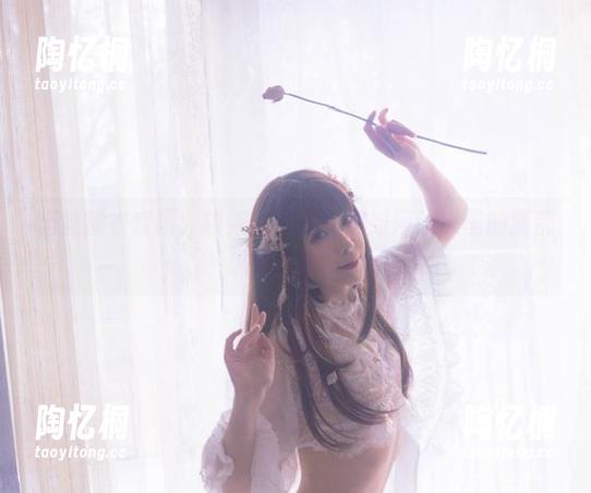 蕾丝睡衣套图：翎柒菜菜教我们如何让家里的猫都想穿上蕾丝！
